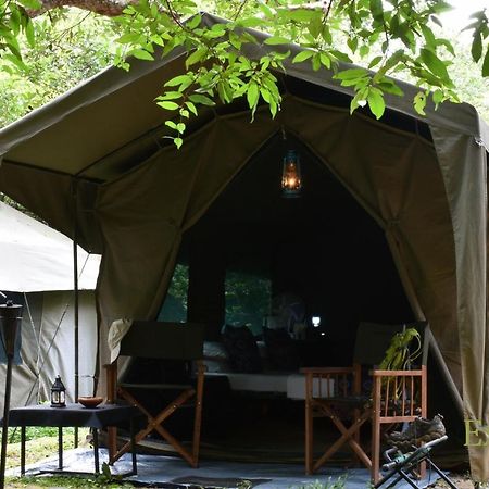 Explorer By Eco Team - Wasgamuwa National Park 외부 사진