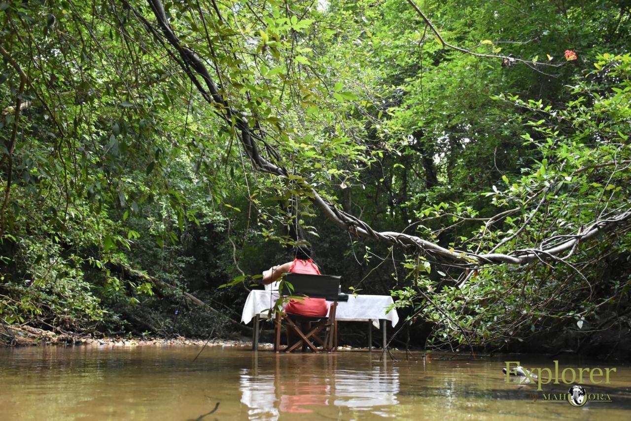 Explorer By Eco Team - Wasgamuwa National Park 외부 사진