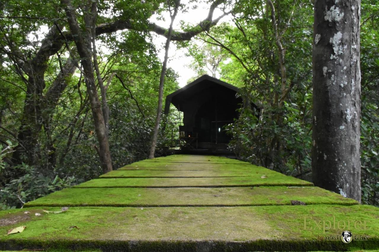 Explorer By Eco Team - Wasgamuwa National Park 외부 사진