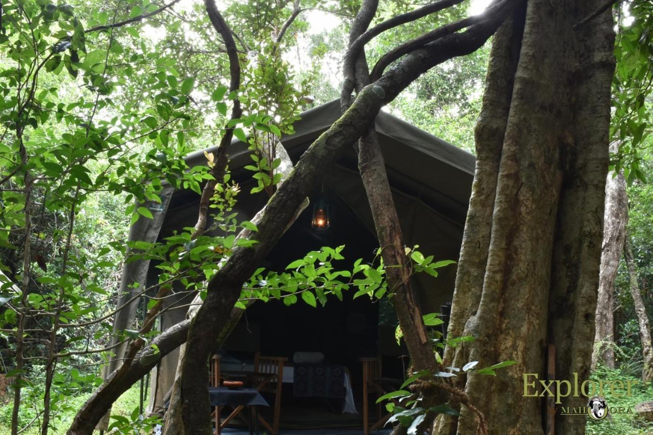 Explorer By Eco Team - Wasgamuwa National Park 외부 사진