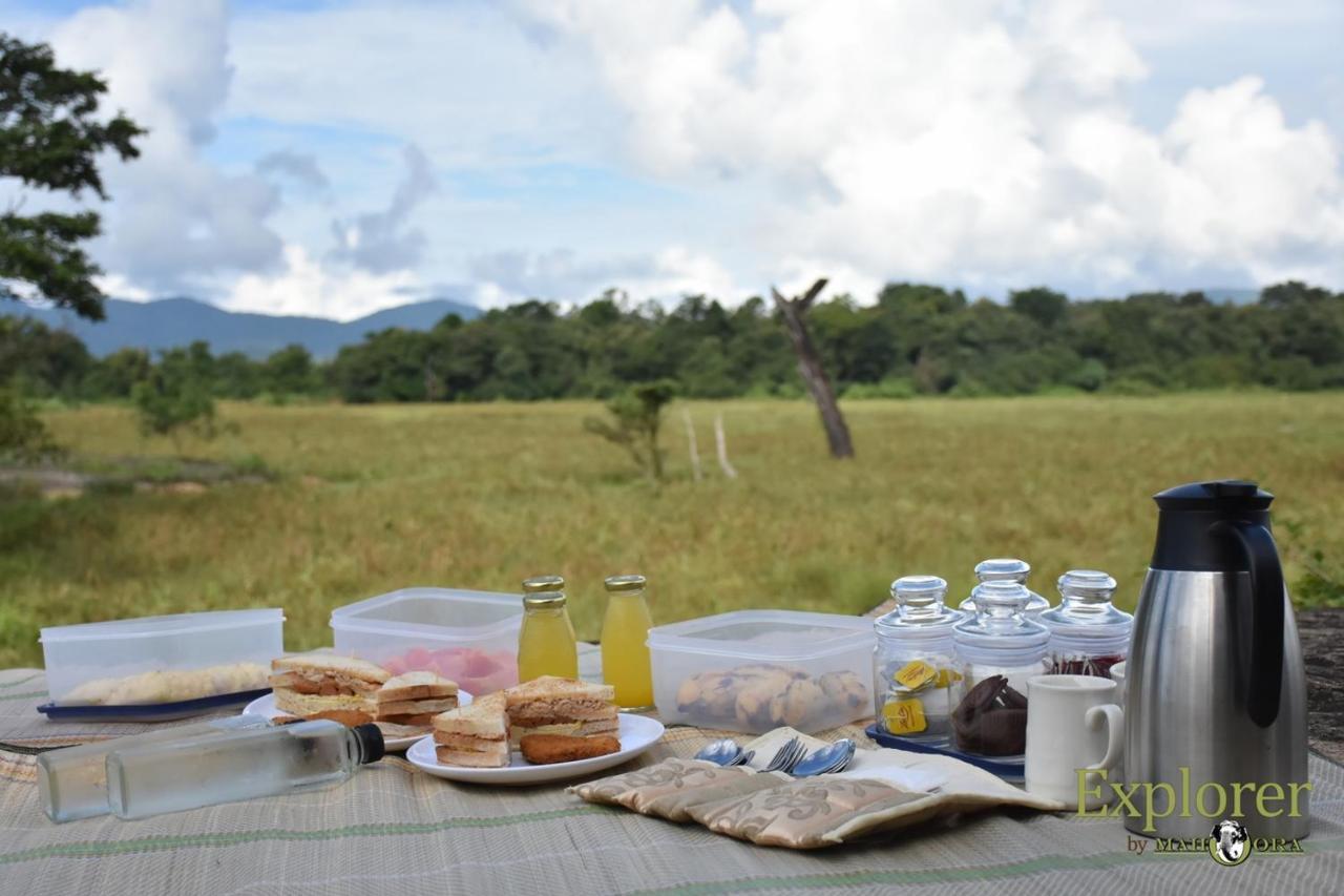 Explorer By Eco Team - Wasgamuwa National Park 외부 사진