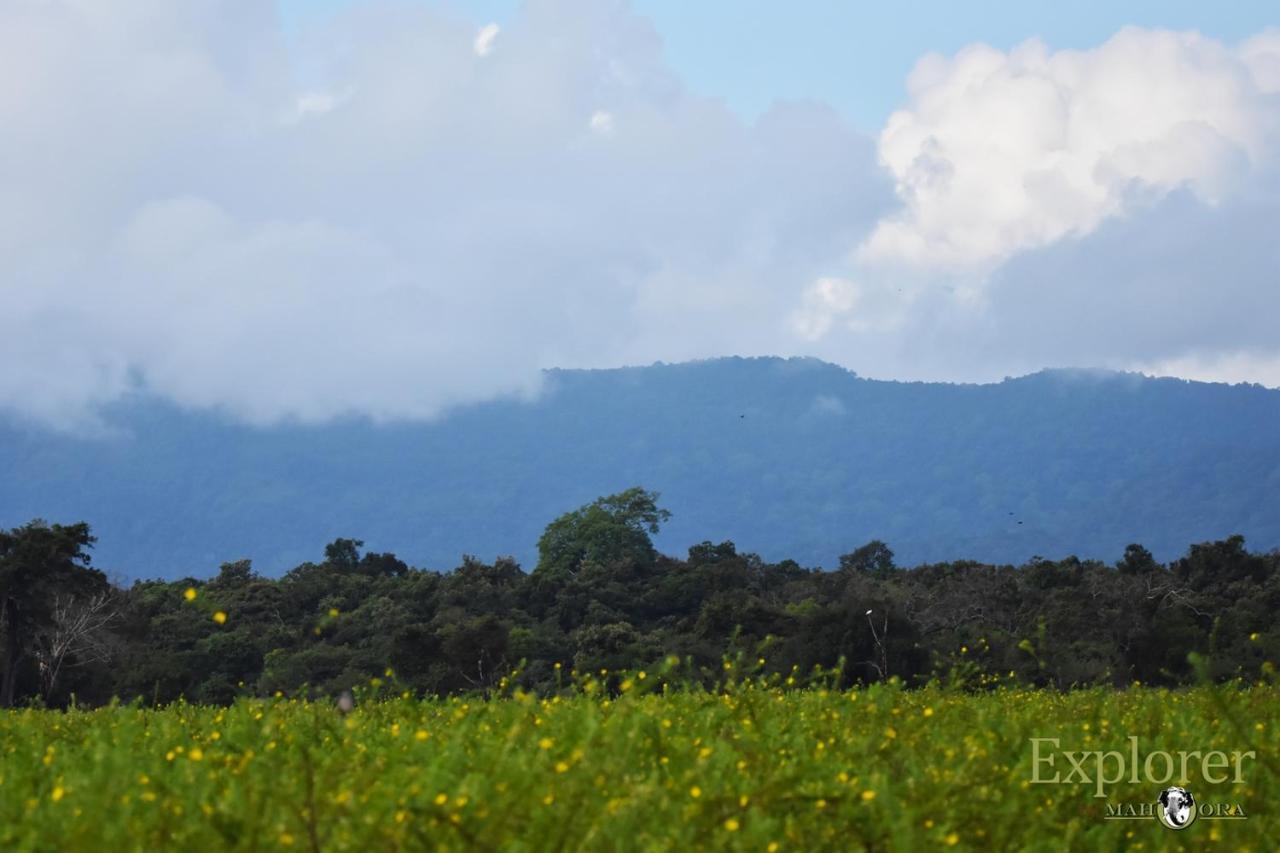 Explorer By Eco Team - Wasgamuwa National Park 외부 사진
